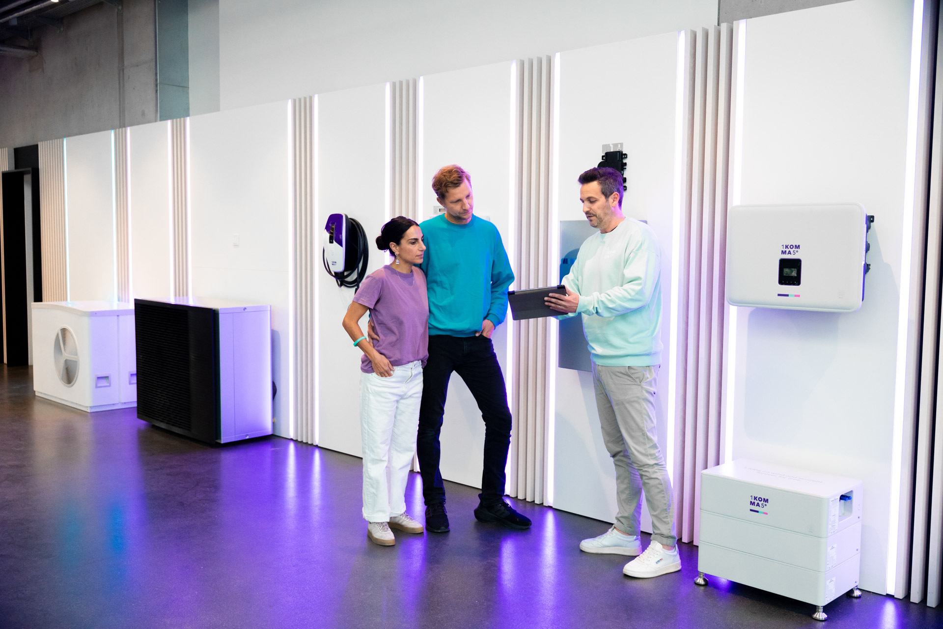 slimme thuisbatterij advies